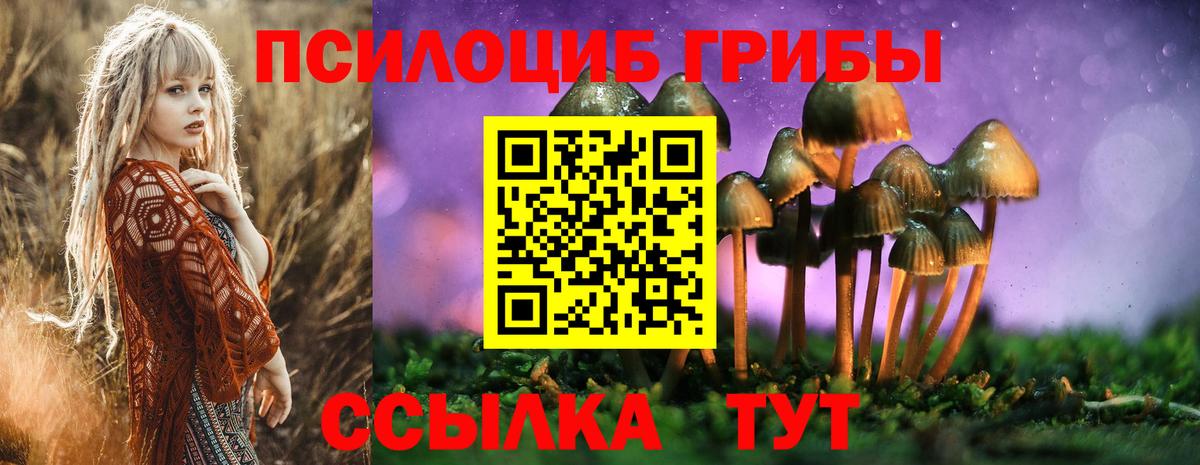 Галлюциногенные грибы Psilocybe Усинск
